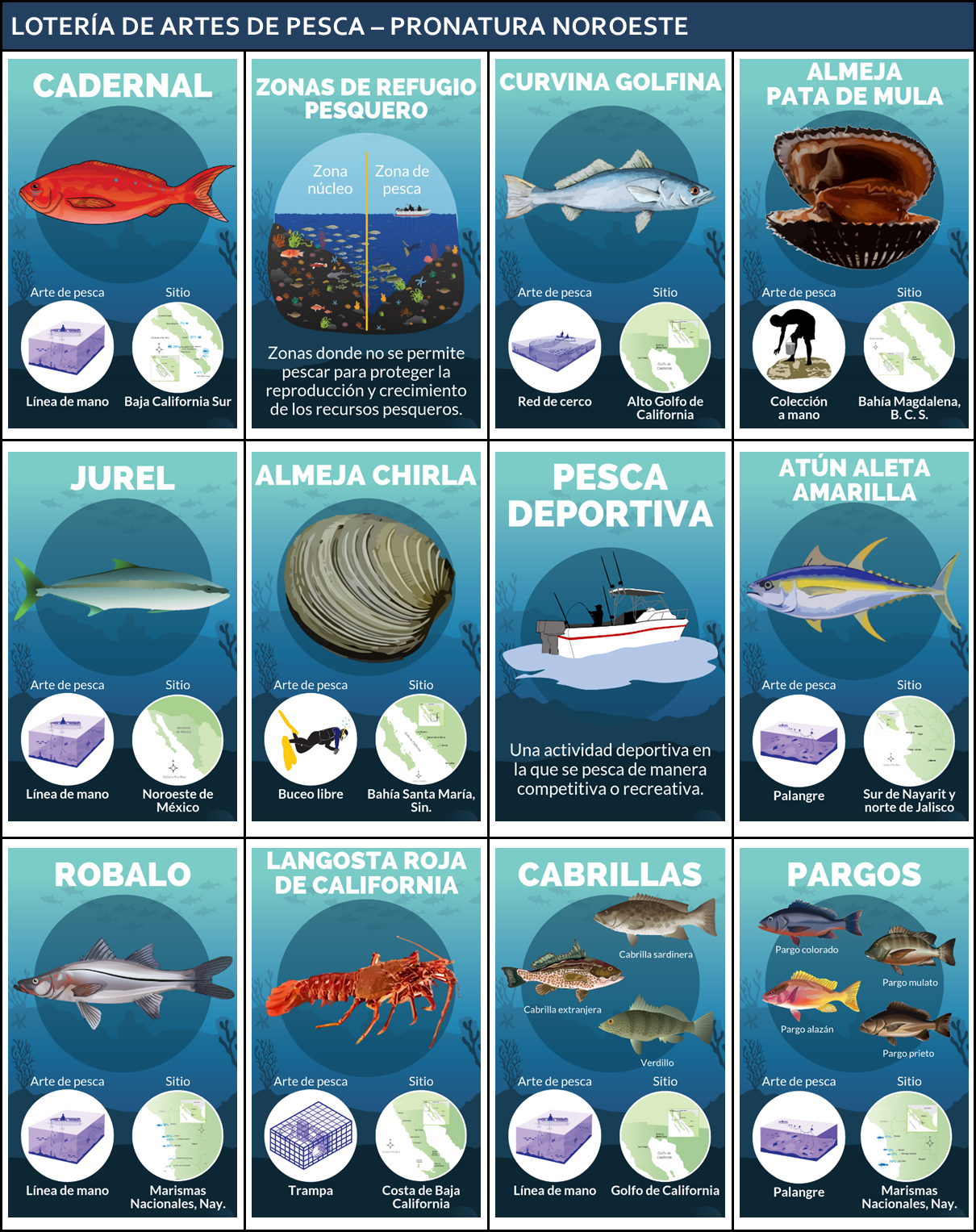 Portada Lotería Pesca.png